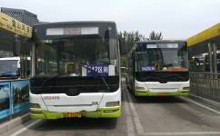 重庆特需公交[T288]加班车公交车路线